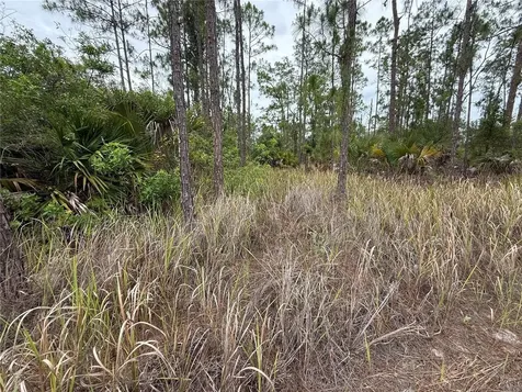 1106 W 13th Street Lehigh Acres FL 33972