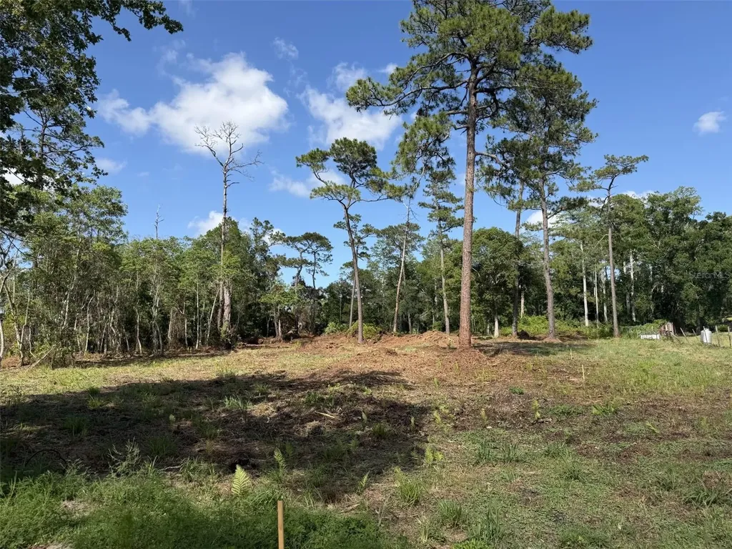 1005 Juniper Drive Christmas FL 32709