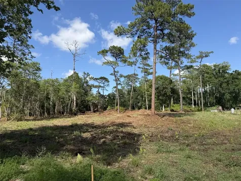 1005 Juniper Drive Christmas FL 32709