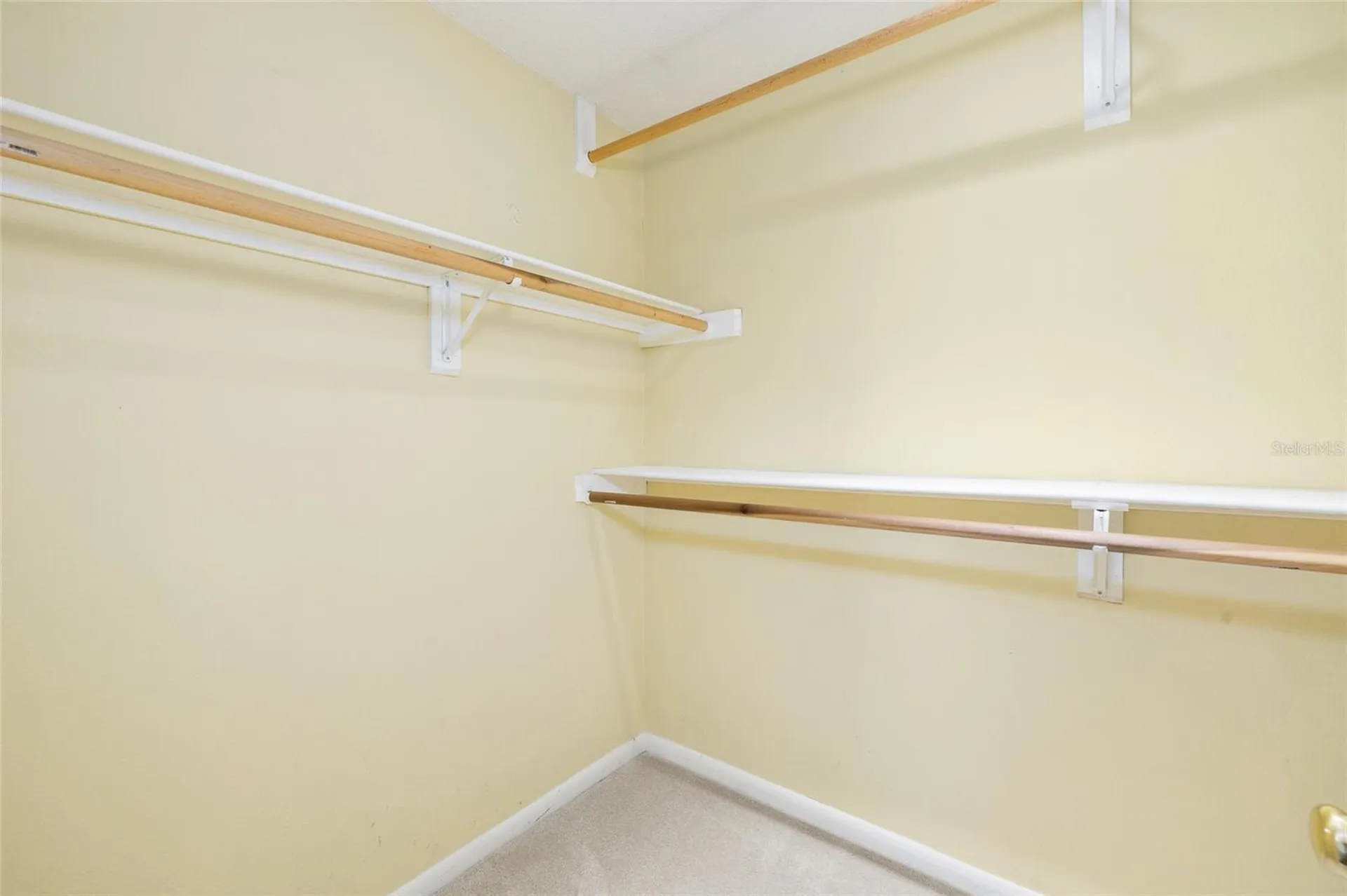 2908 W Ballast Point Boulevard Tampa FL 33611