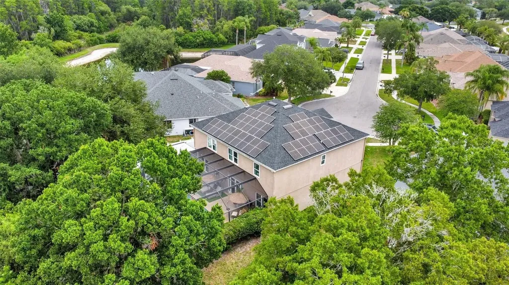 3103 Ashmonte Drive Land O Lakes FL 34638