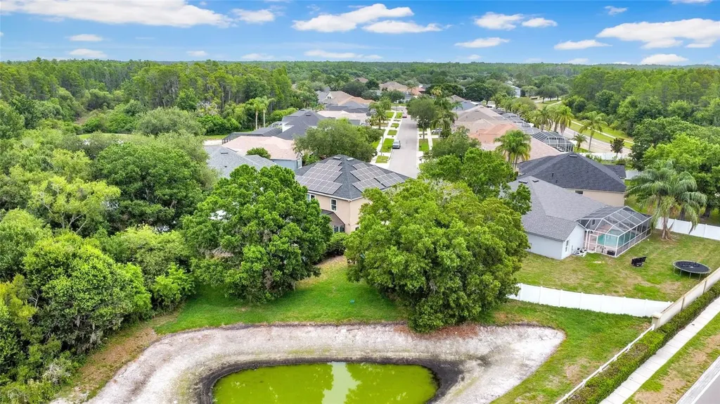 3103 Ashmonte Drive Land O Lakes FL 34638