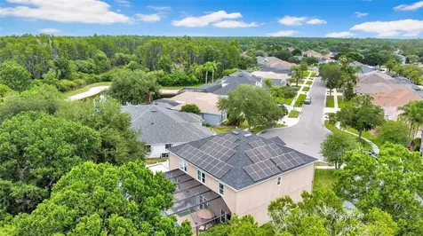 3103 Ashmonte Drive Land O Lakes FL 34638