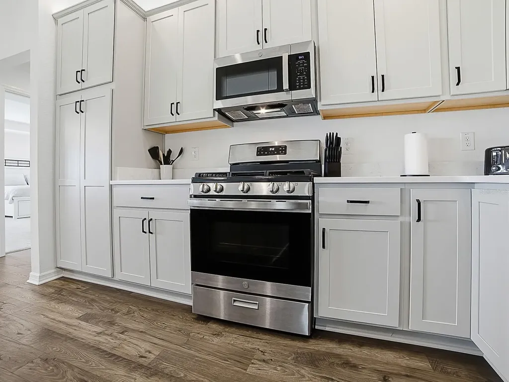 7247 Remi Place The Villages FL 34762