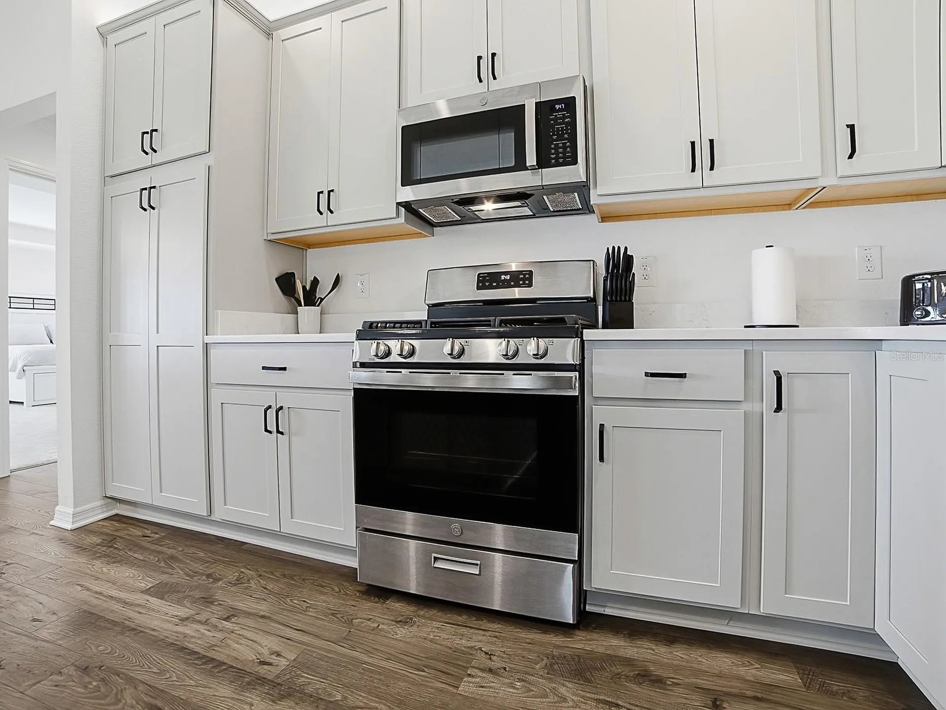 7247 Remi Place The Villages FL 34762
