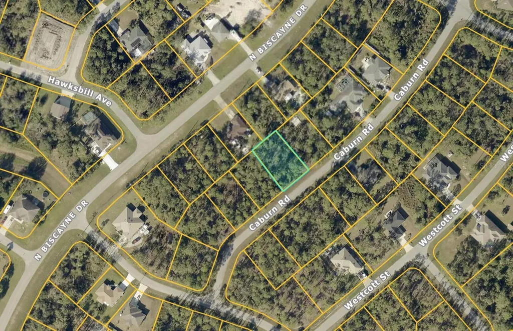 Caburn Road North Port FL 34291