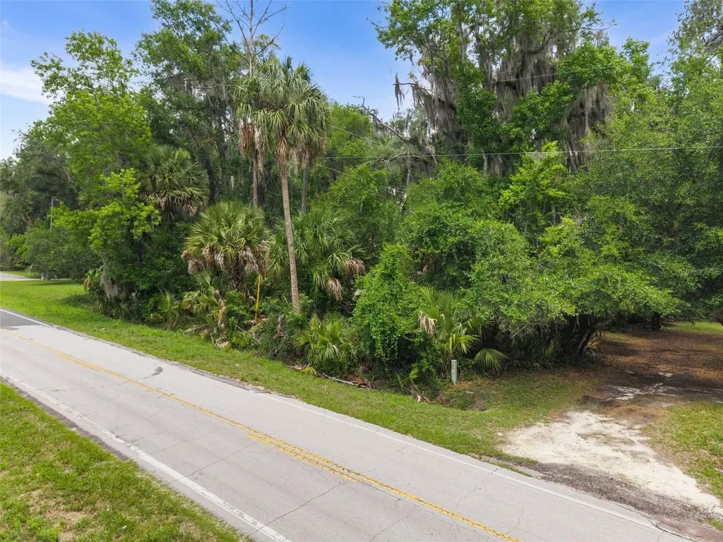 Tbd SE Wacahoota Road Micanopy FL 32667