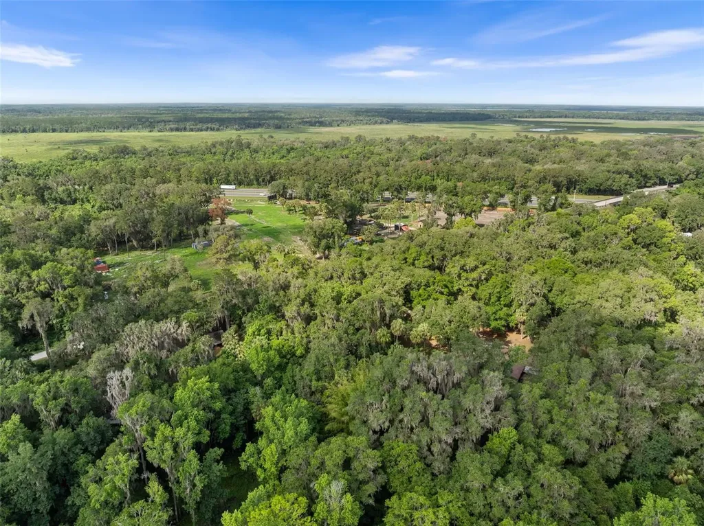 Tbd SE Wacahoota Road Micanopy FL 32667