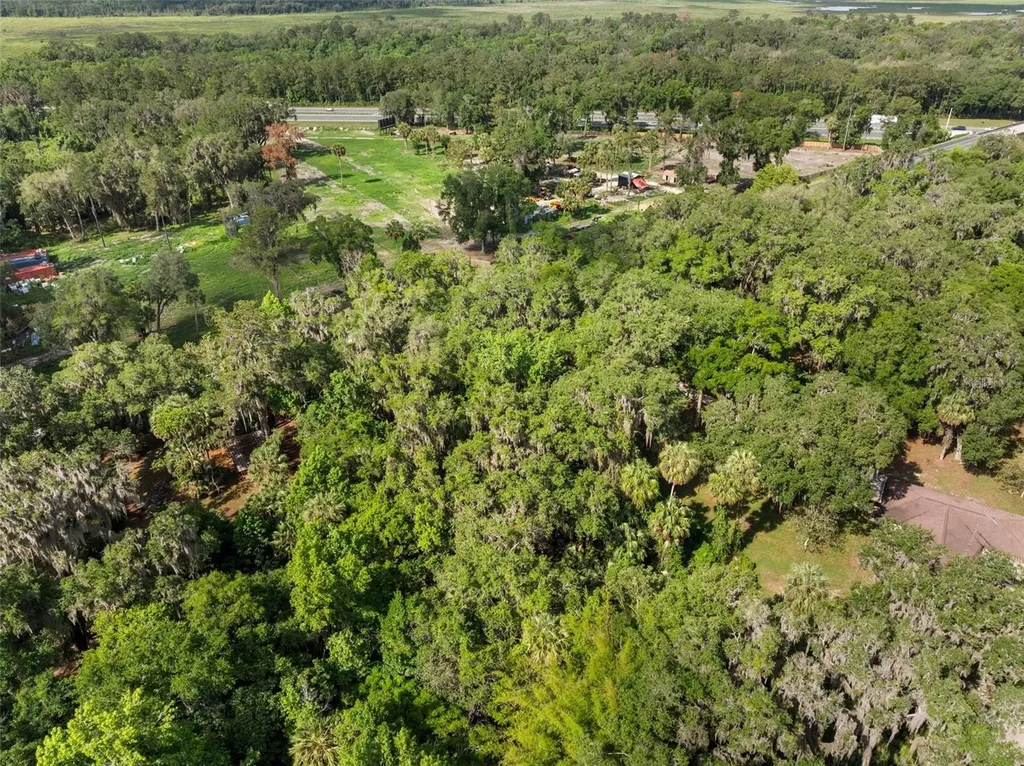 Tbd SE Wacahoota Road Micanopy FL 32667