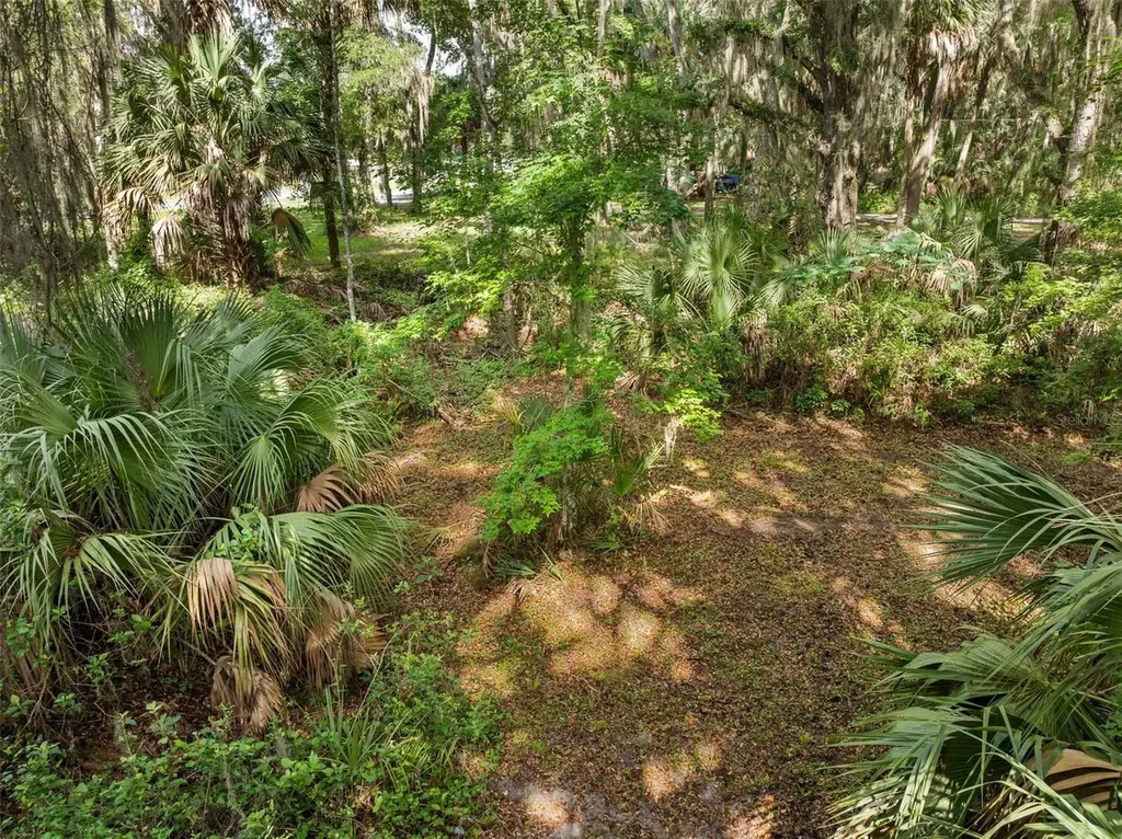 Tbd SE Wacahoota Road Micanopy FL 32667