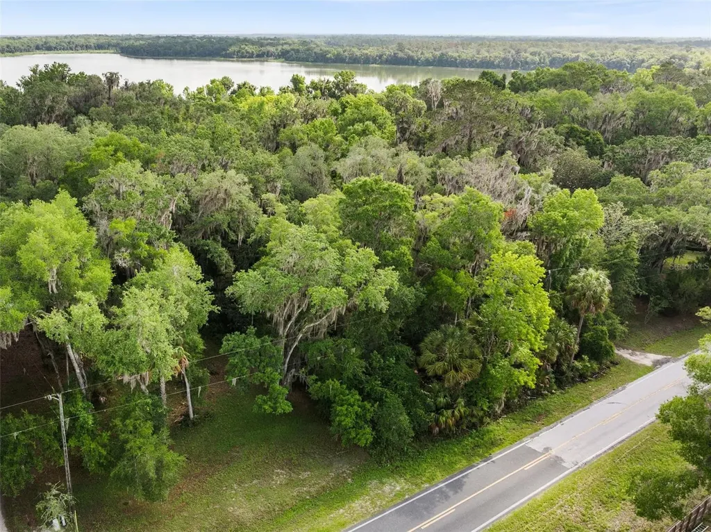 Tbd SE Wacahoota Road Micanopy FL 32667