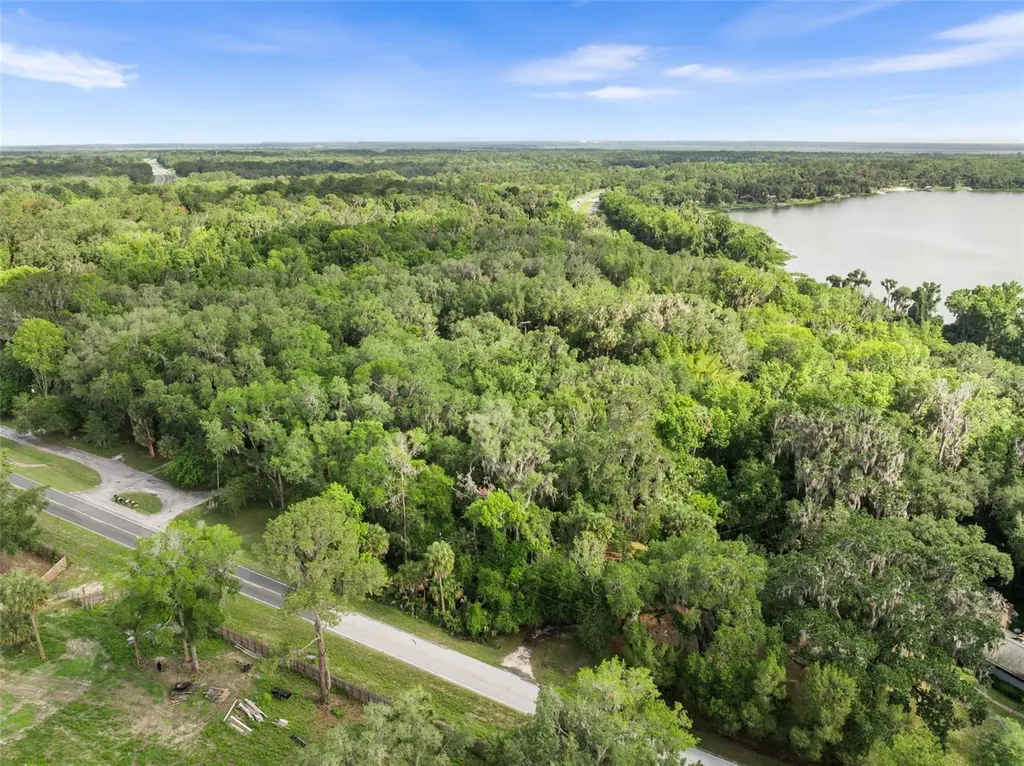 Tbd SE Wacahoota Road Micanopy FL 32667