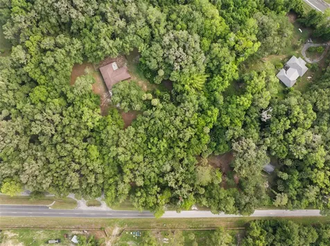 Tbd SE Wacahoota Road Micanopy FL 32667