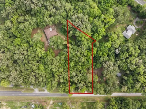 Tbd SE Wacahoota Road Micanopy FL 32667