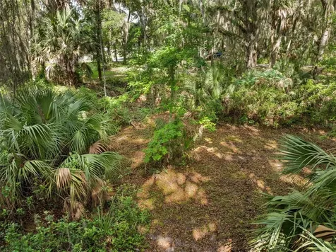 Tbd SE Wacahoota Road Micanopy FL 32667