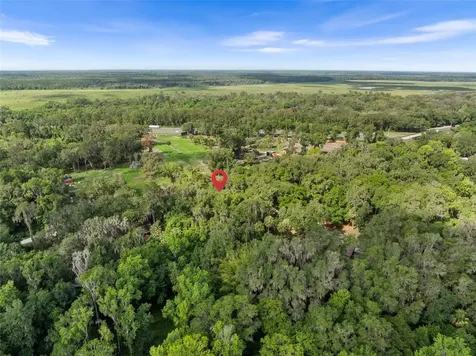 Tbd SE Wacahoota Road Micanopy FL 32667