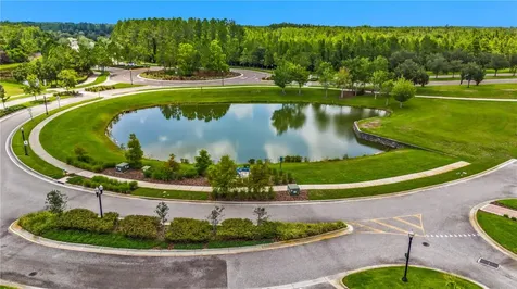 8948 Gallantree Place Land O Lakes FL 34637