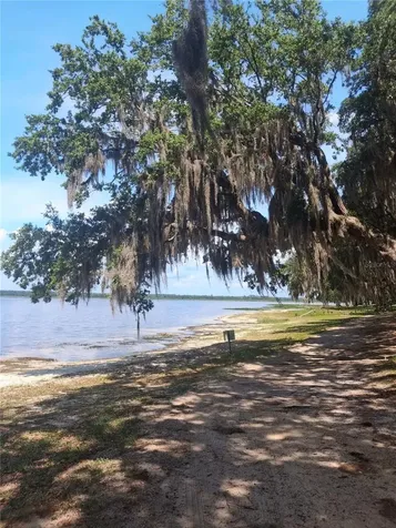 25225 141st Lane NE Fort Mc Coy FL 32134