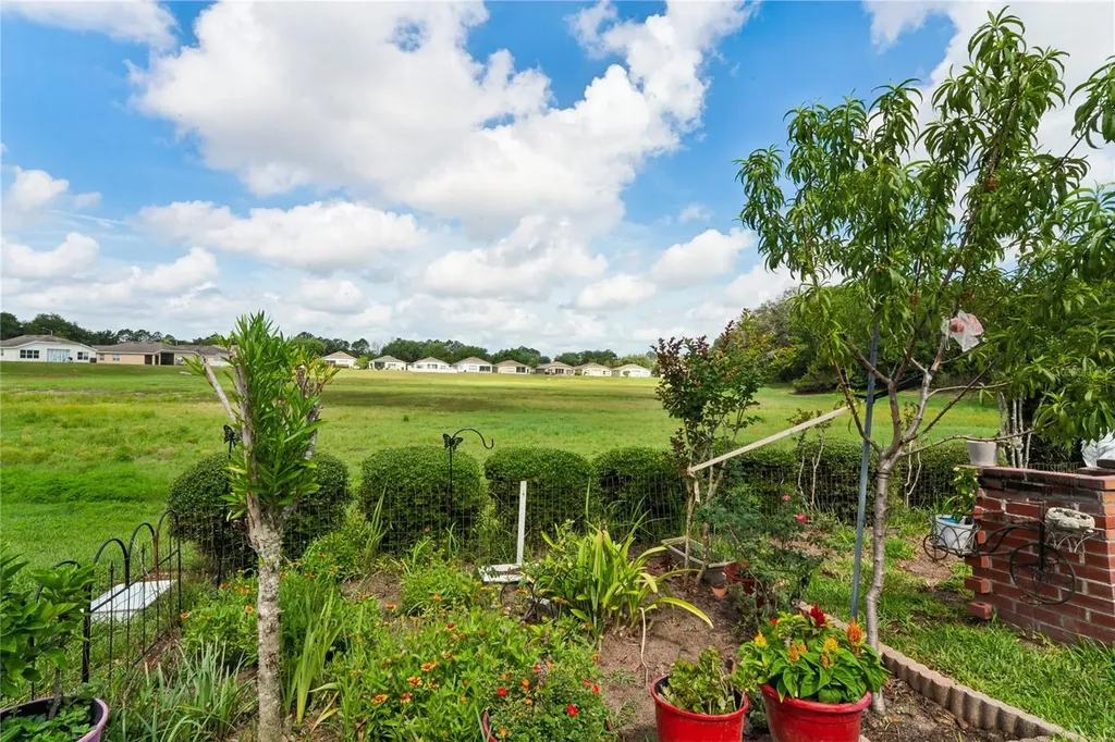 799 Alpine Thistle Drive Brooksville FL 34604
