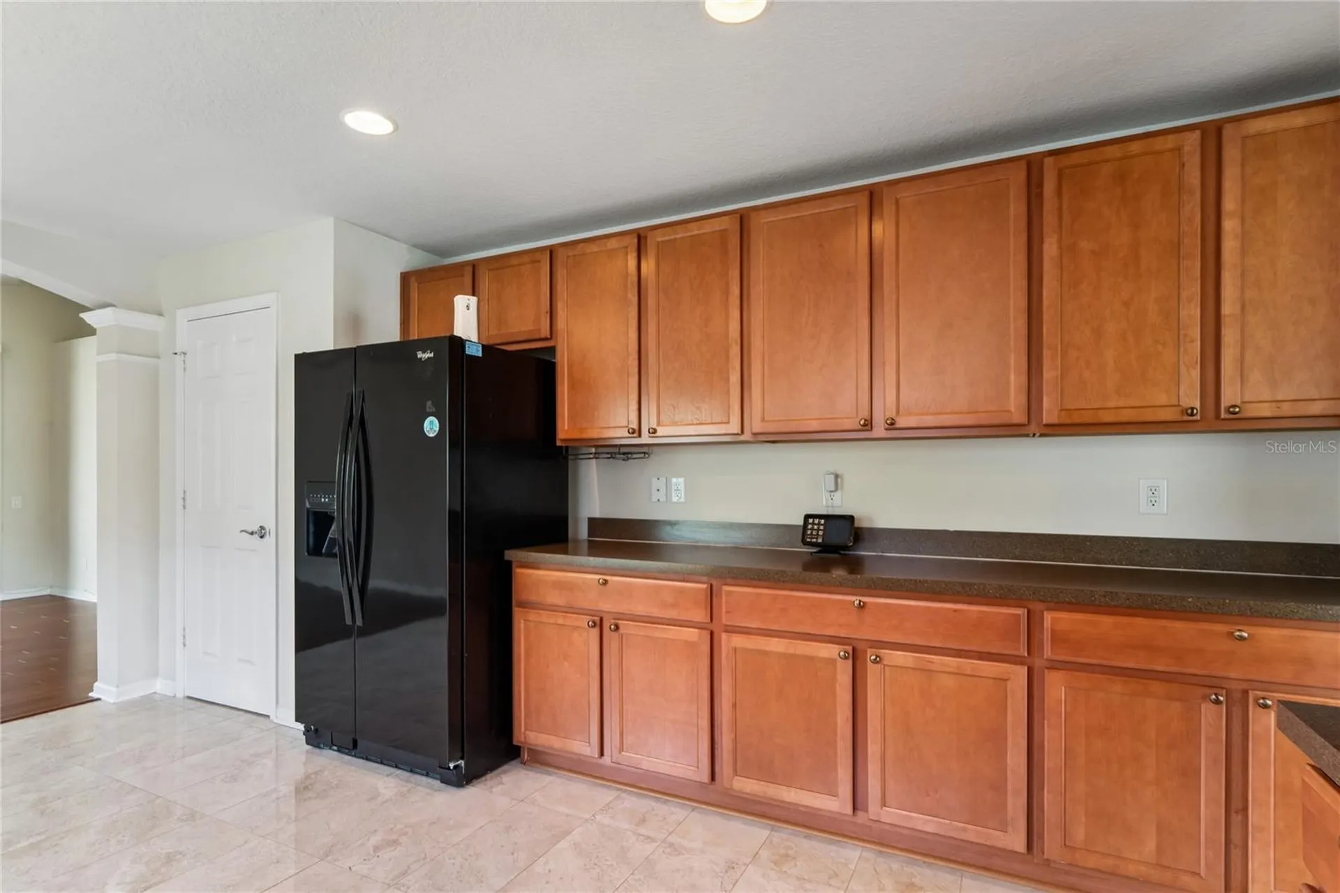 799 Alpine Thistle Drive Brooksville FL 34604