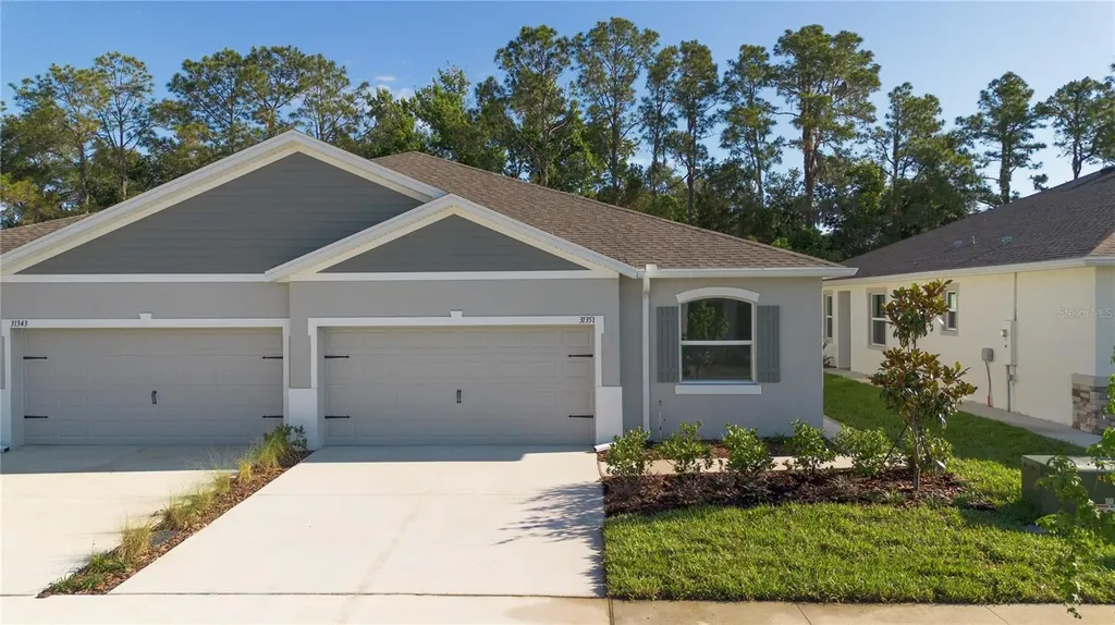31351 Paper Birch Street Wesley Chapel FL 33545