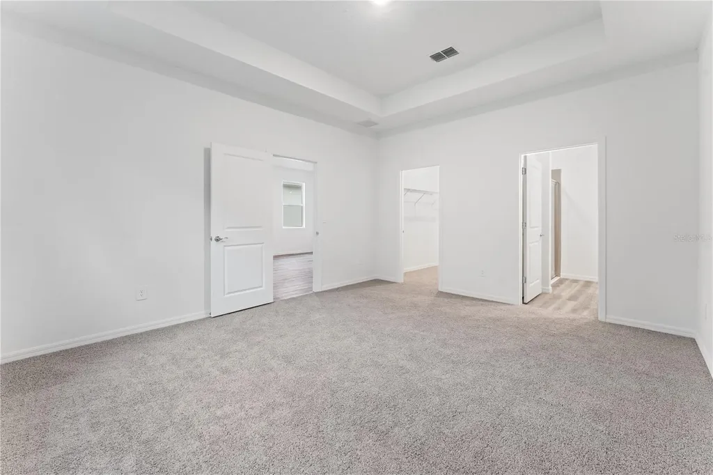 31351 Paper Birch Street Wesley Chapel FL 33545