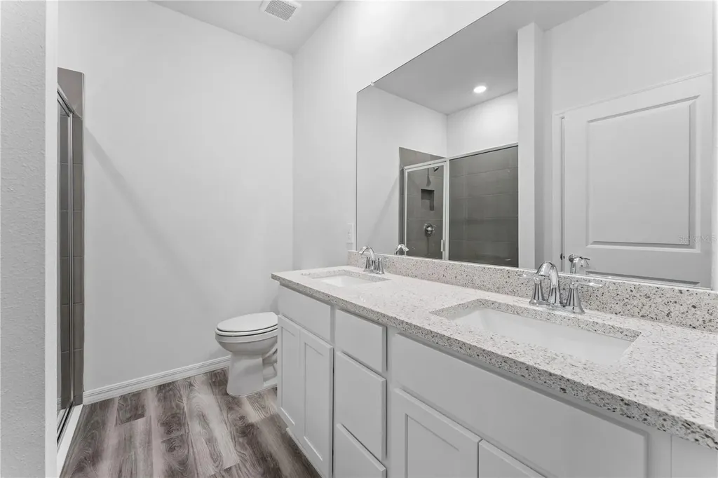 31351 Paper Birch Street Wesley Chapel FL 33545
