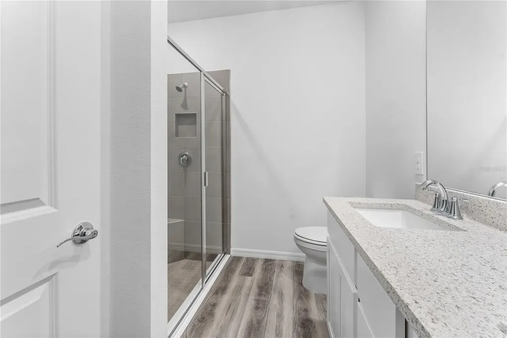 31351 Paper Birch Street Wesley Chapel FL 33545