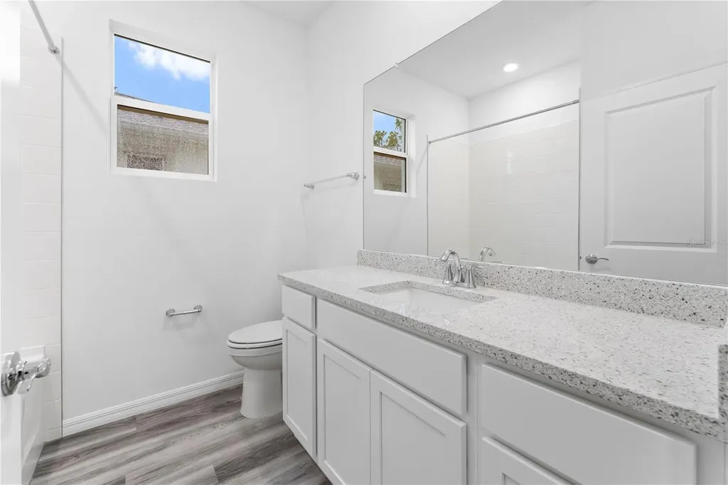 31351 Paper Birch Street Wesley Chapel FL 33545