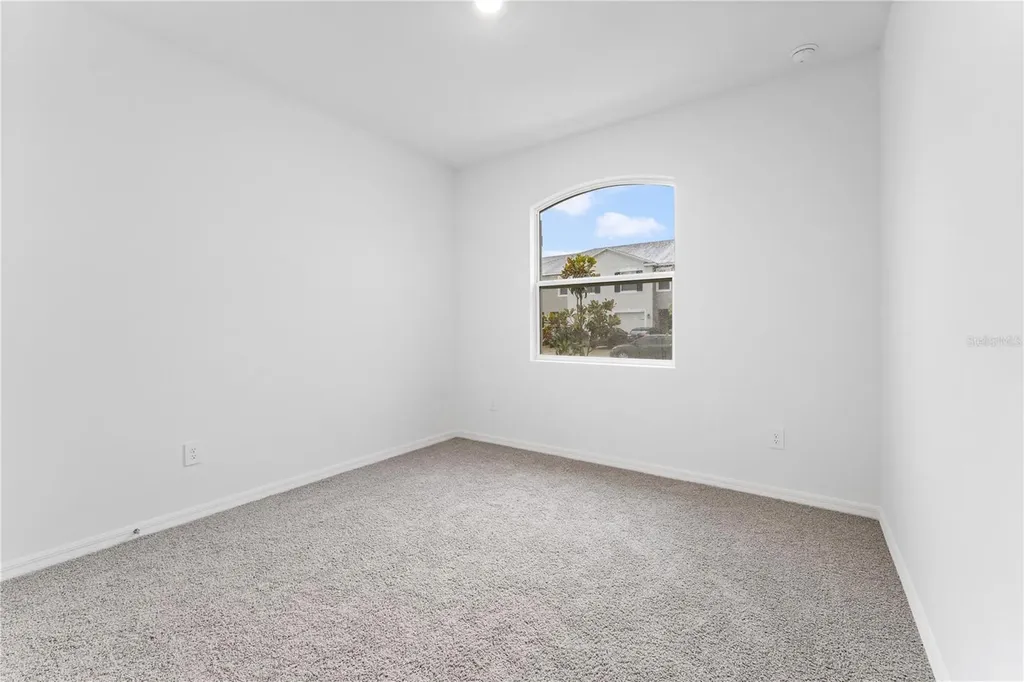 31351 Paper Birch Street Wesley Chapel FL 33545