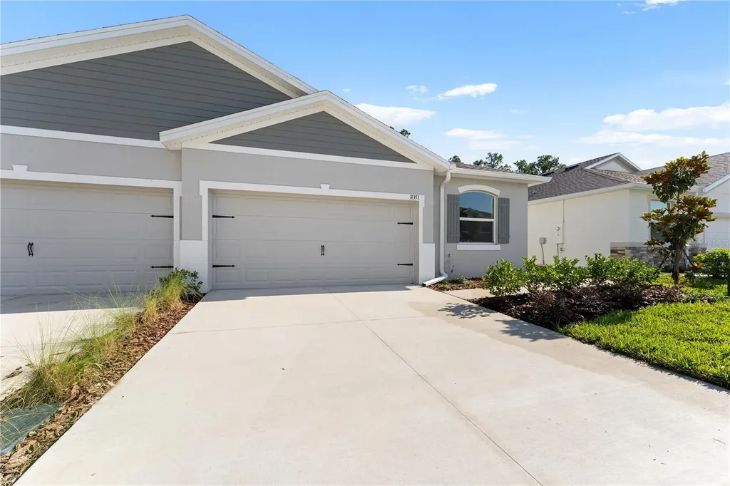 31351 Paper Birch Street Wesley Chapel FL 33545