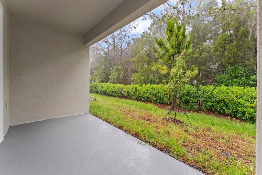 31351 Paper Birch Street Wesley Chapel FL 33545