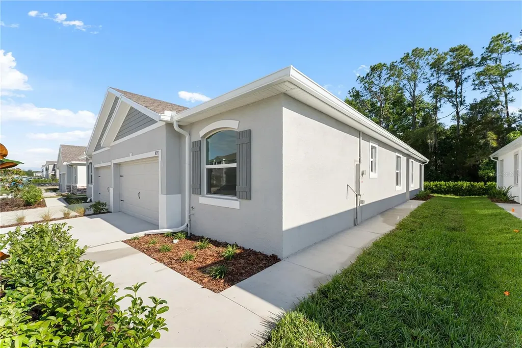 31351 Paper Birch Street Wesley Chapel FL 33545