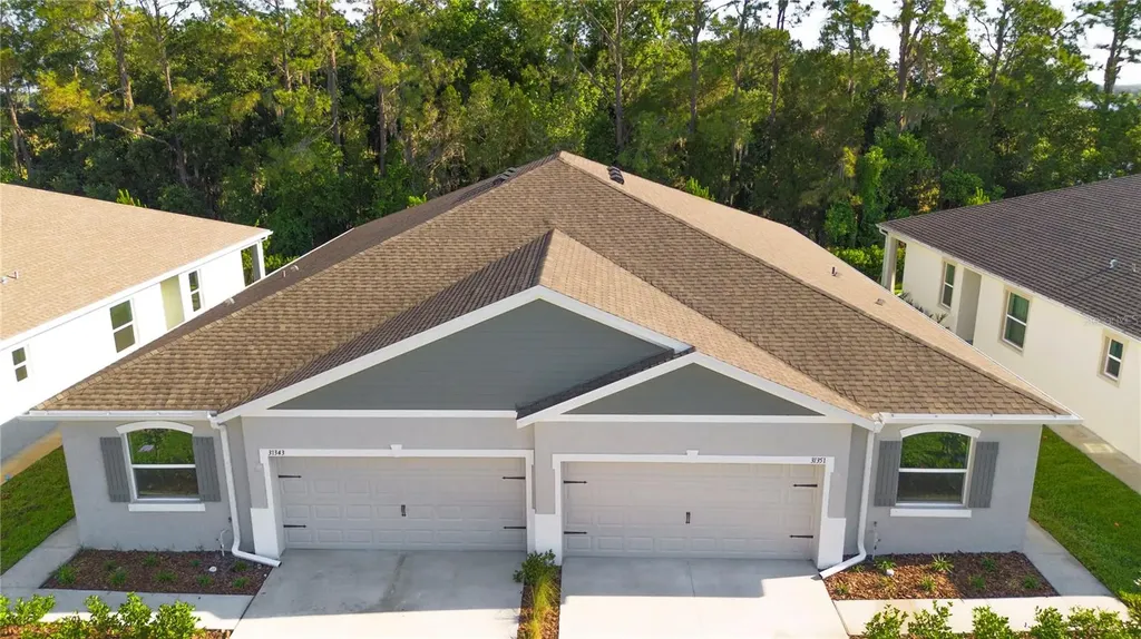 31351 Paper Birch Street Wesley Chapel FL 33545