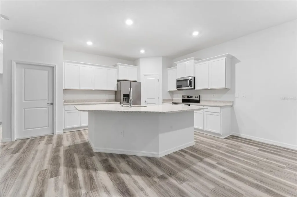 31351 Paper Birch Street Wesley Chapel FL 33545
