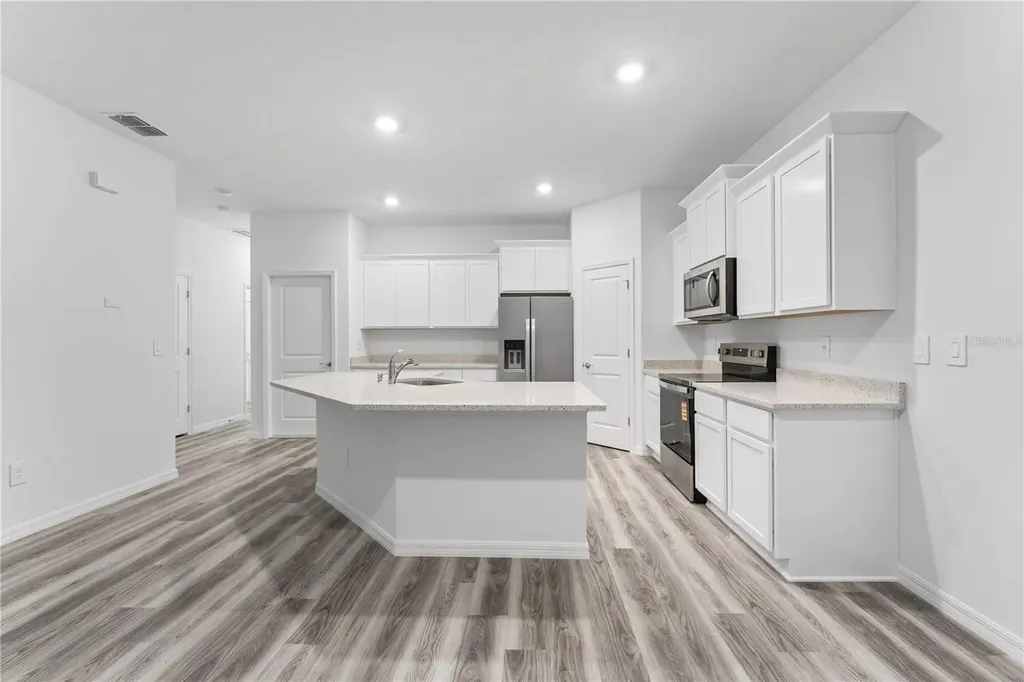 31351 Paper Birch Street Wesley Chapel FL 33545