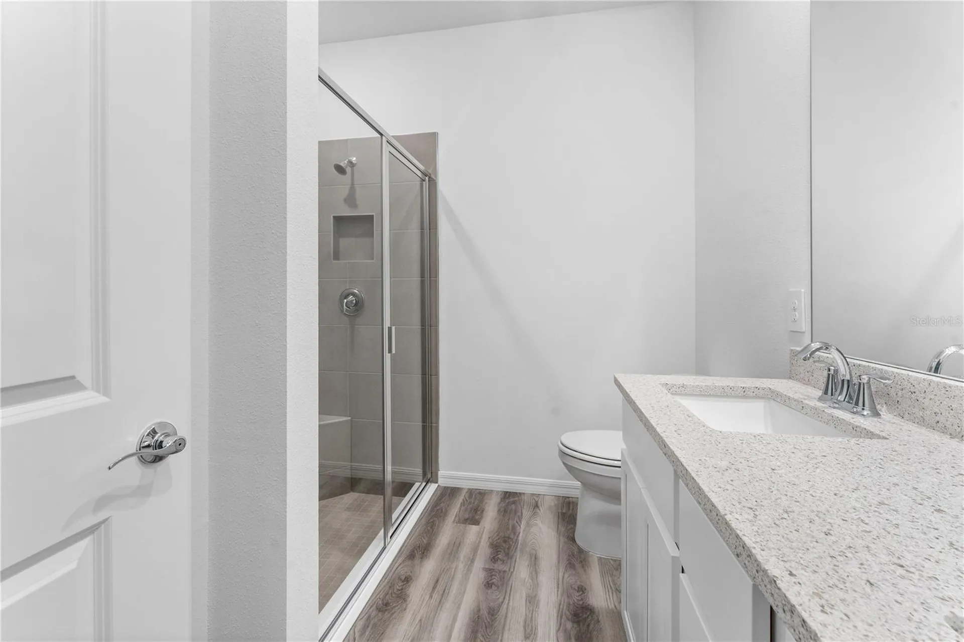 31351 Paper Birch Street Wesley Chapel FL 33545