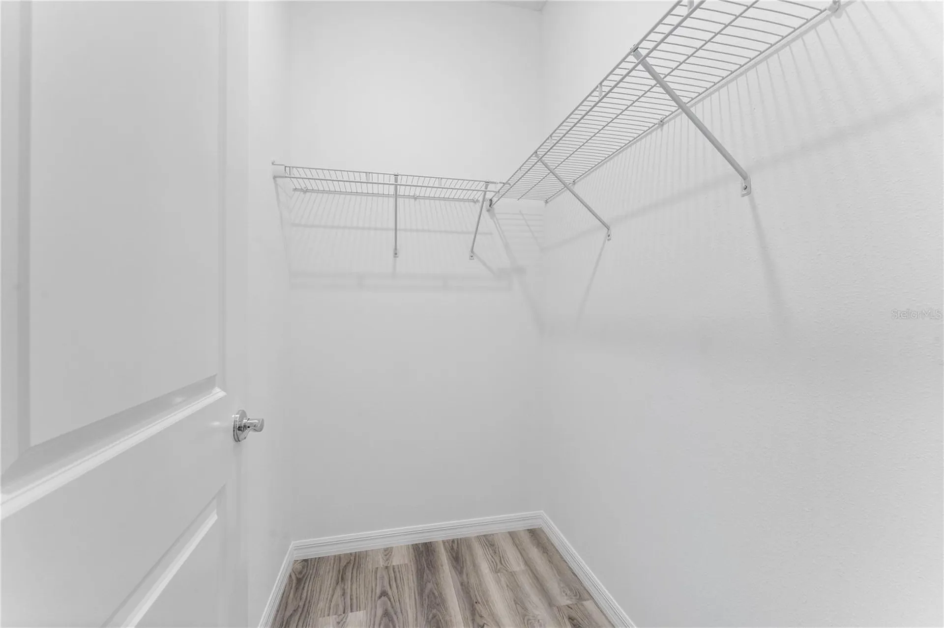31351 Paper Birch Street Wesley Chapel FL 33545