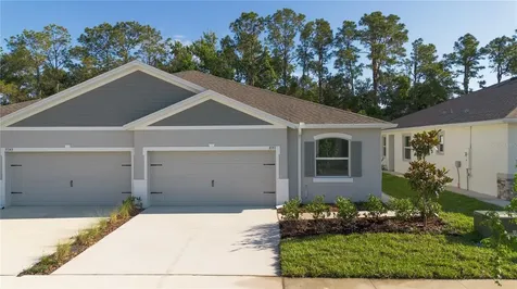 31351 Paper Birch Street Wesley Chapel FL 33545