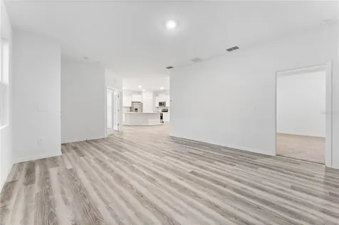 31351 Paper Birch Street Wesley Chapel FL 33545