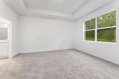 31351 Paper Birch Street Wesley Chapel FL 33545