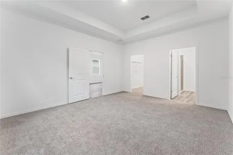 31351 Paper Birch Street Wesley Chapel FL 33545