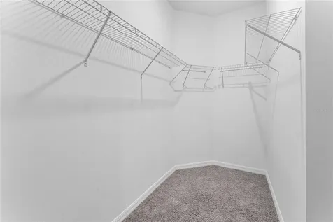 31351 Paper Birch Street Wesley Chapel FL 33545