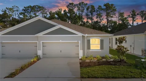 31351 Paper Birch Street Wesley Chapel FL 33545