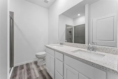 31351 Paper Birch Street Wesley Chapel FL 33545
