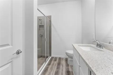 31351 Paper Birch Street Wesley Chapel FL 33545