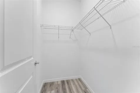 31351 Paper Birch Street Wesley Chapel FL 33545