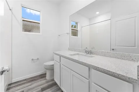 31351 Paper Birch Street Wesley Chapel FL 33545