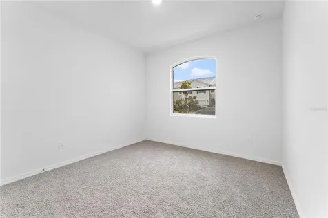 31351 Paper Birch Street Wesley Chapel FL 33545