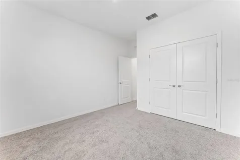 31351 Paper Birch Street Wesley Chapel FL 33545